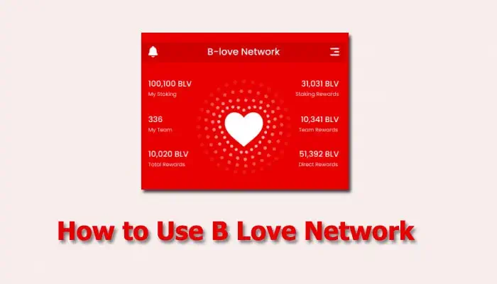 How to Use B Love Network?