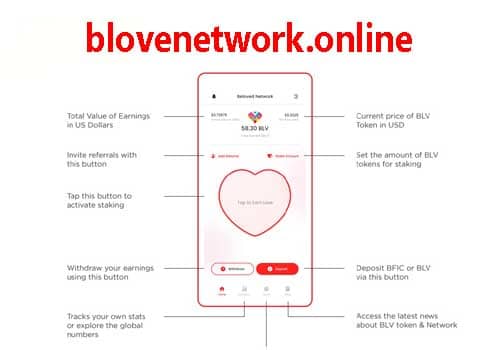 B Love Network Features